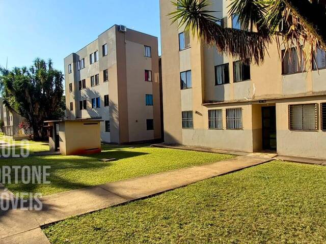 #141 - Apartamento para Venda em Londrina - PR - 1