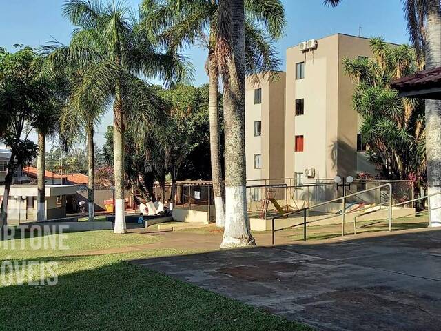 #141 - Apartamento para Venda em Londrina - PR - 3