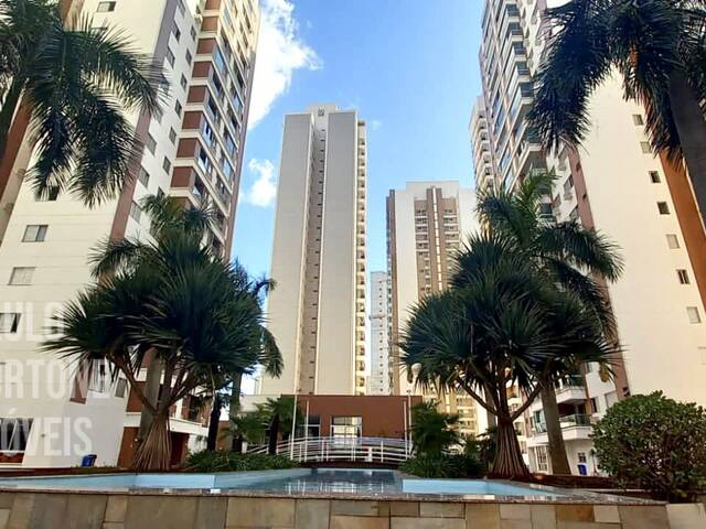 #146 - Apartamento para Venda em Londrina - PR - 3