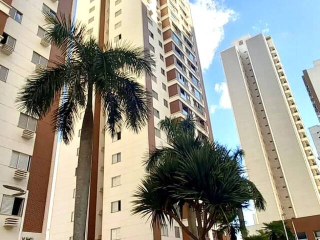 #146 - Apartamento para Venda em Londrina - PR