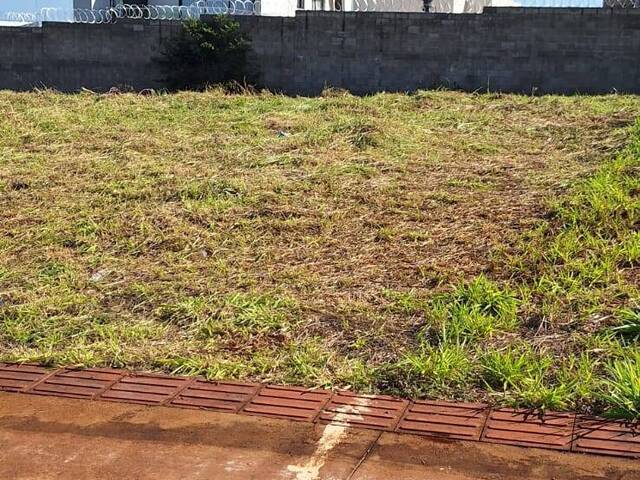 Área para Venda em Londrina - 4